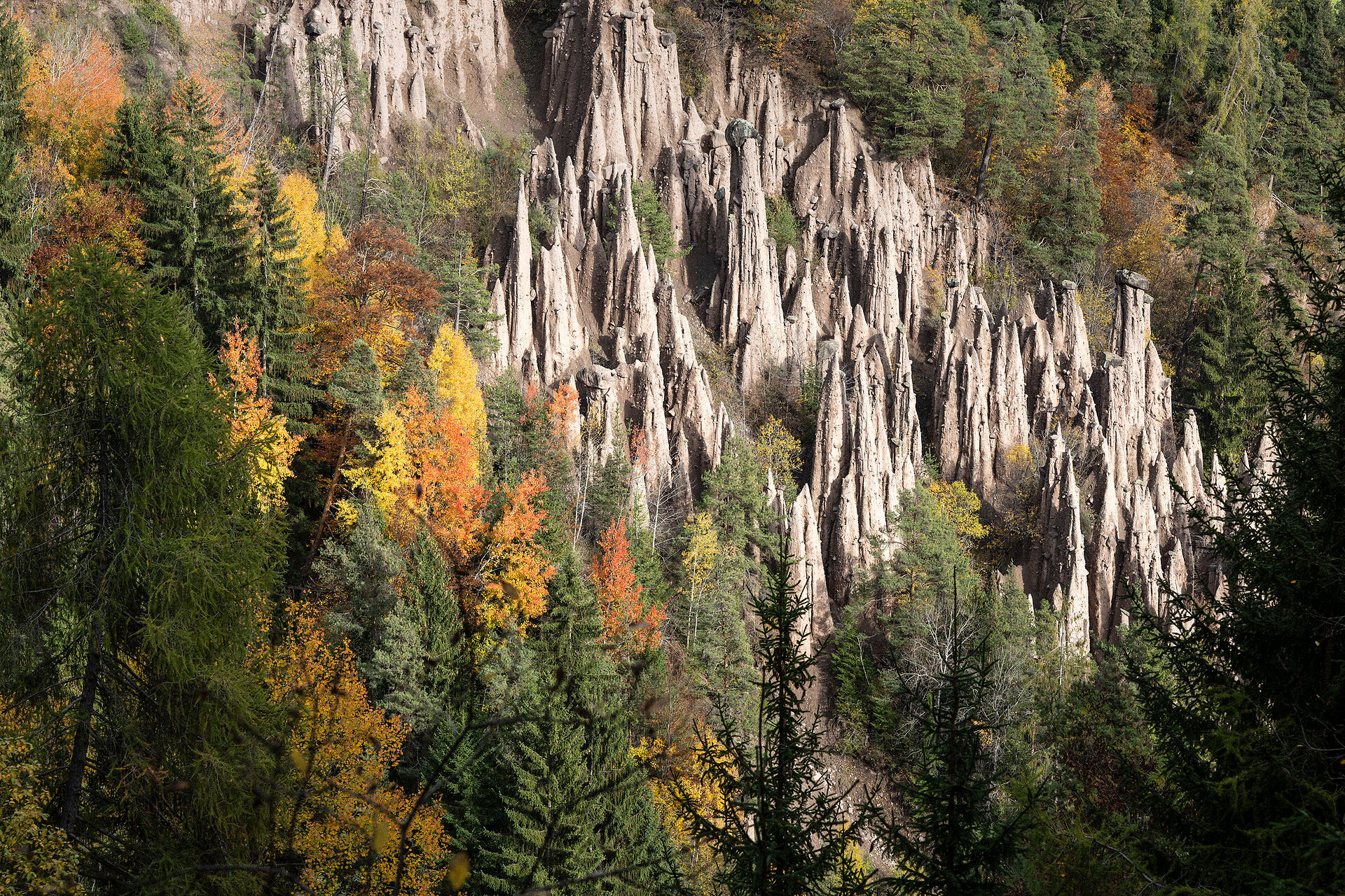 Earth pyramids on the Ritten in autumn colours