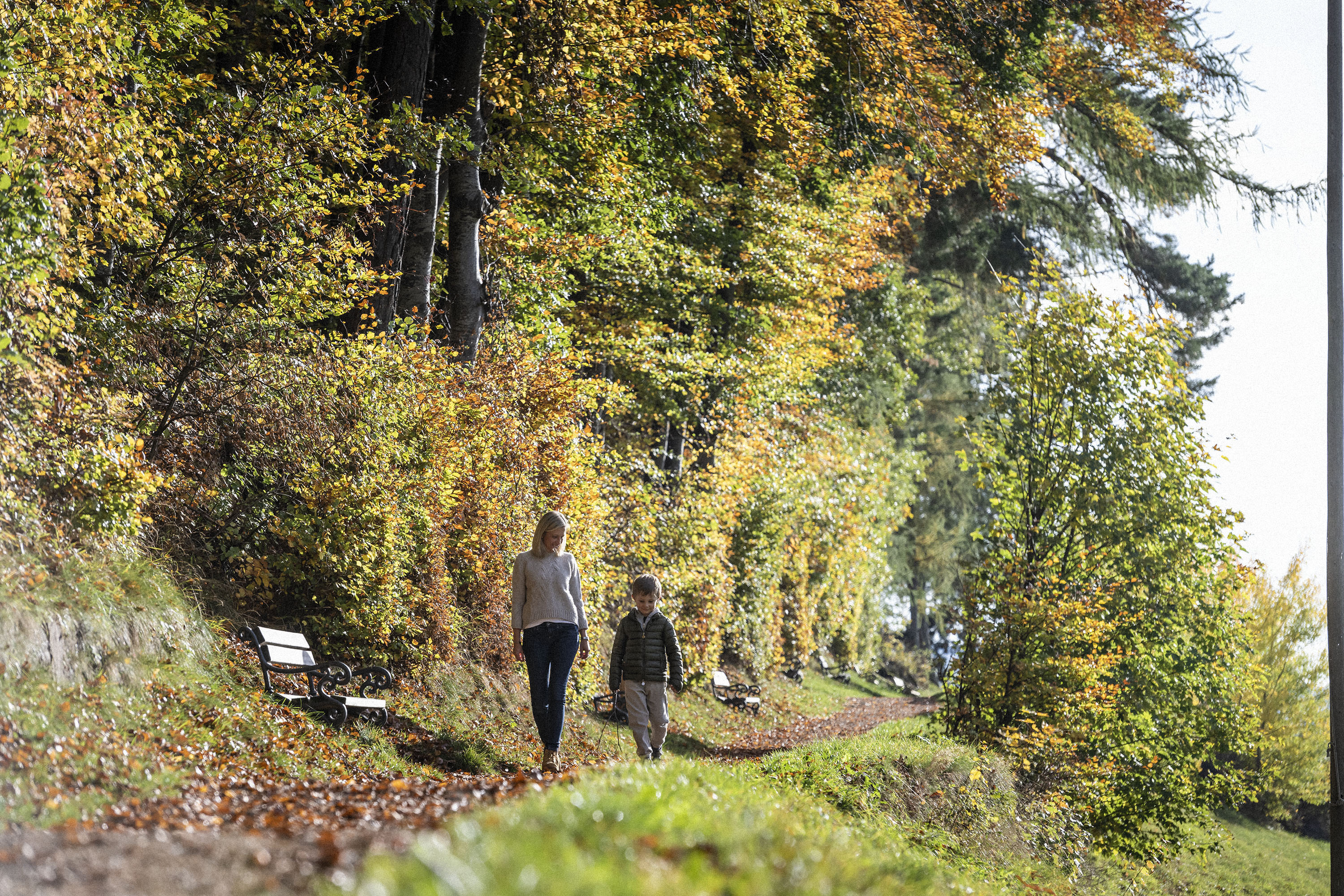 Walk through the autumn forest on the Ritten