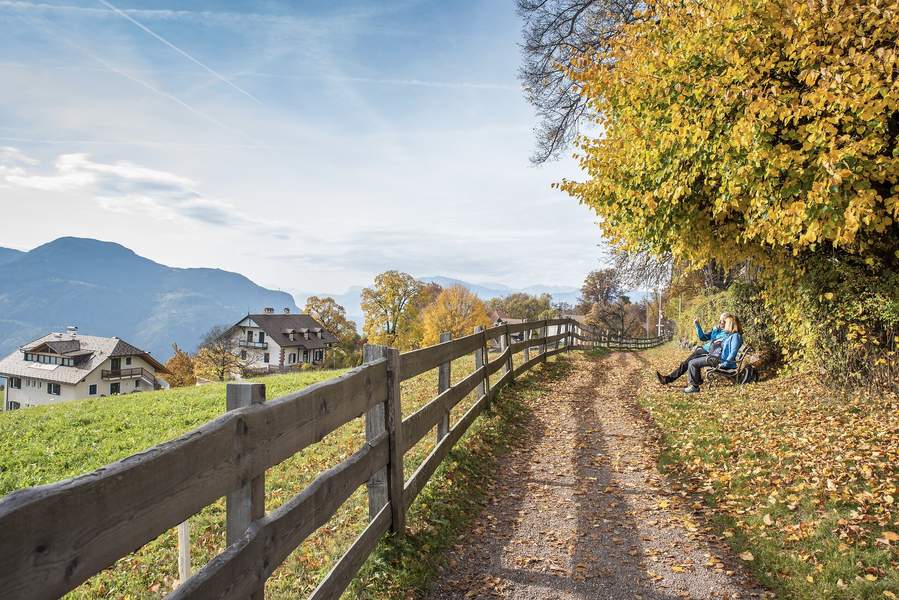 Autumn hiking on the Ritten promenade
