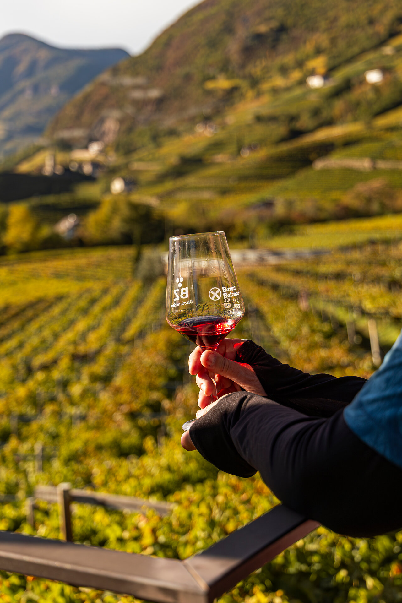 South Tyrolean wine enjoyment