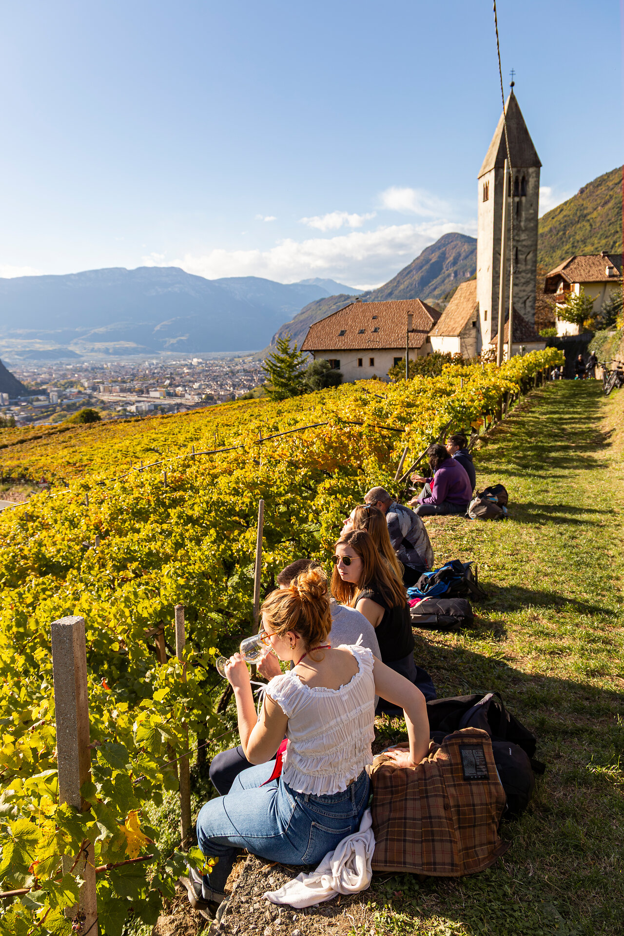 Autumn vineyards in South Tyrol