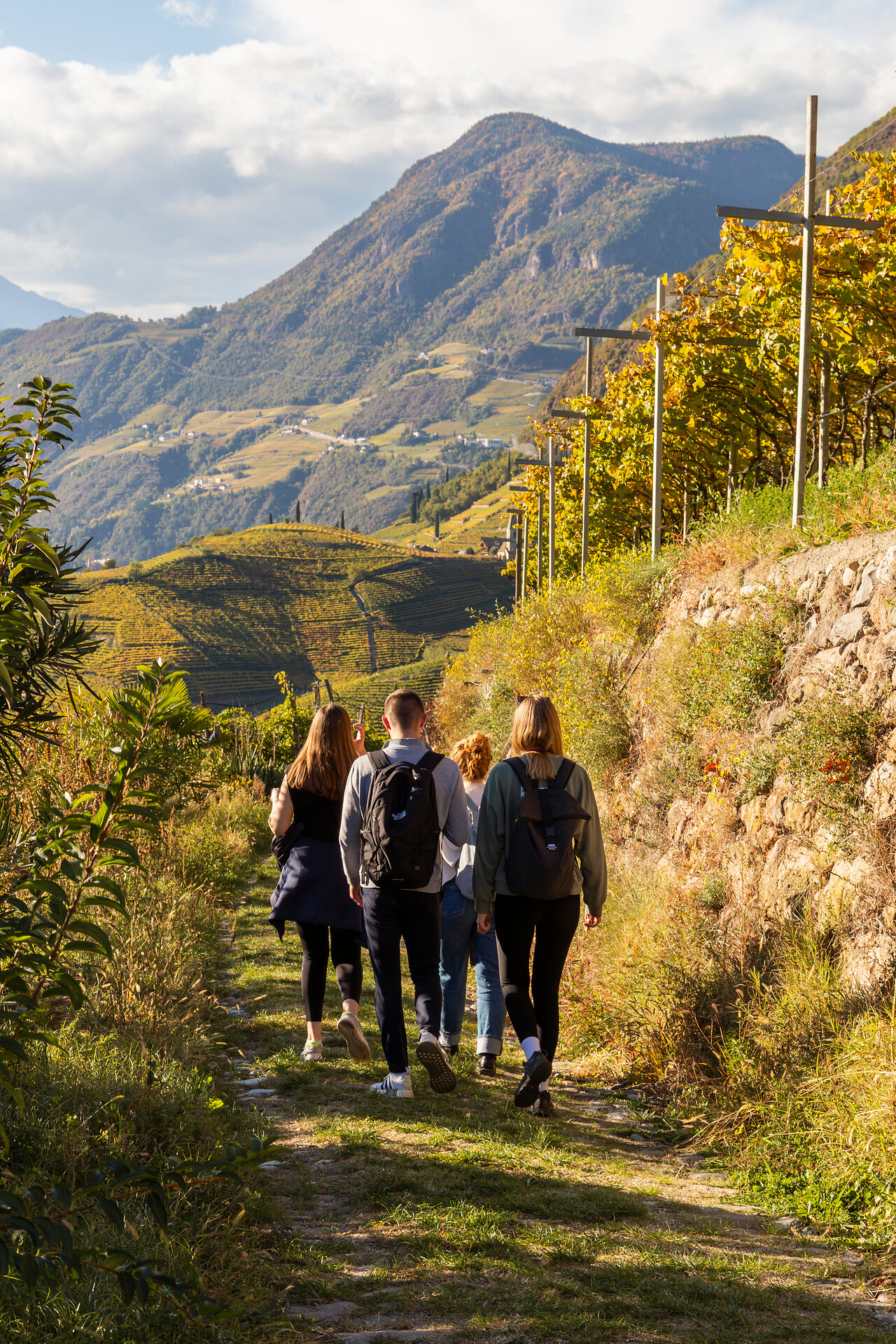 Wine hike in autumn
