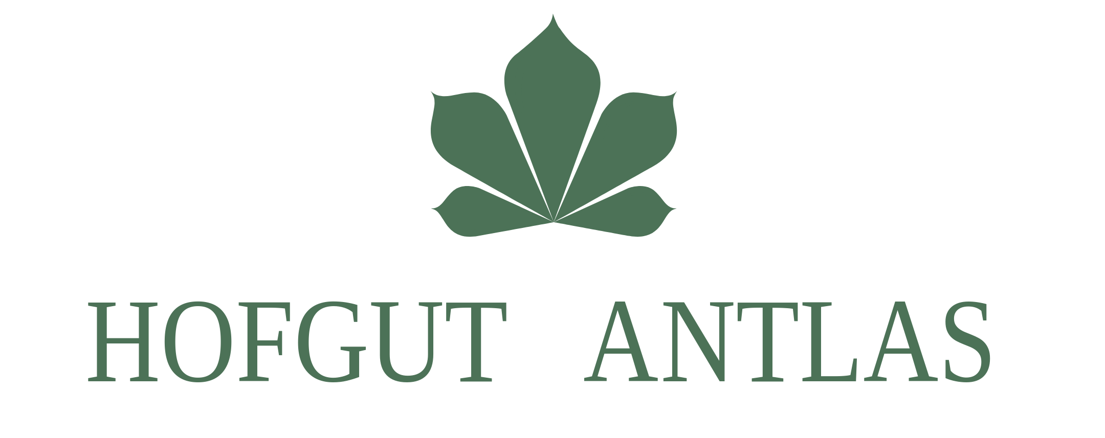 hotel.heinrichshof.com